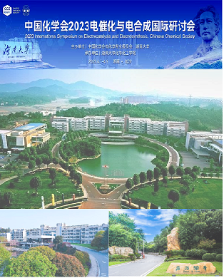 中国化学会2021电催化与电合成国际研讨会