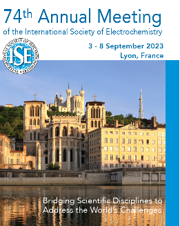 法国里昂召开的第74届ISE年度学术会议