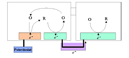 图5-1 双池体系自诱导氧化还原循环