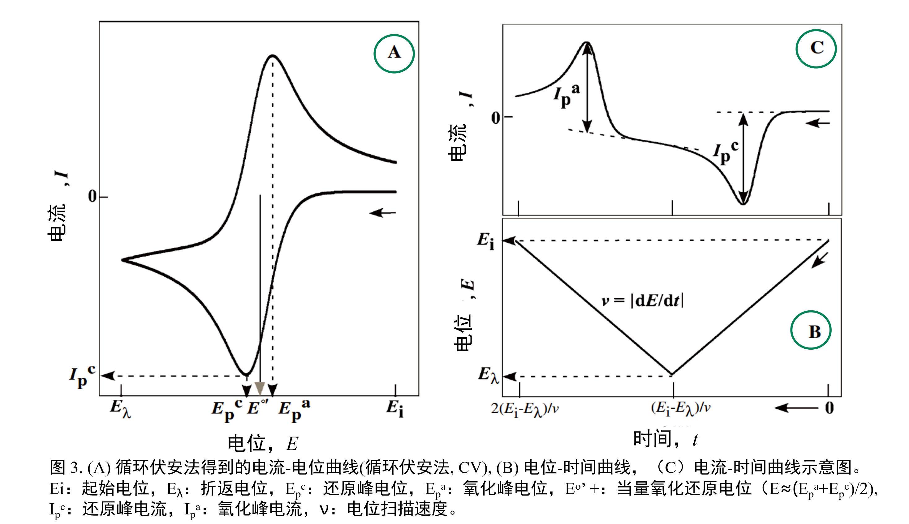 cv1_rev_system_fig3.png