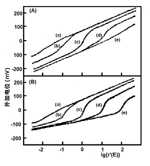 图5-2（A)不同吸光度变化比值对模拟的Nernst图的影响。<br />(B)不同吸光度变化比值对模拟的的Nernst图的影响。