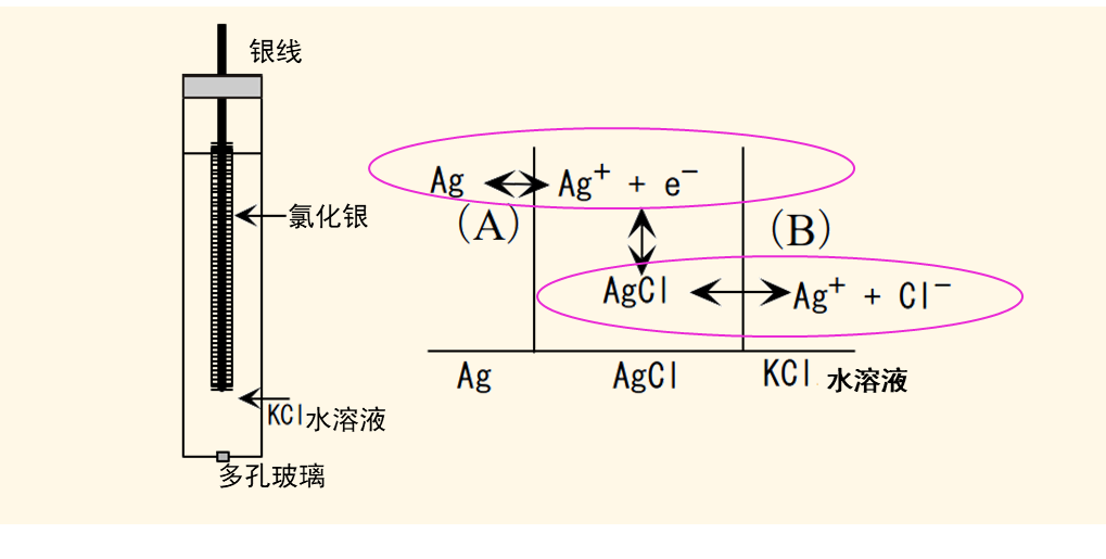 图2 银氯化银电极的构造